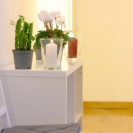 Vaticano Al Piano Nobile شقة روما